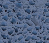 2 Blue Lapis terrazzo sample image